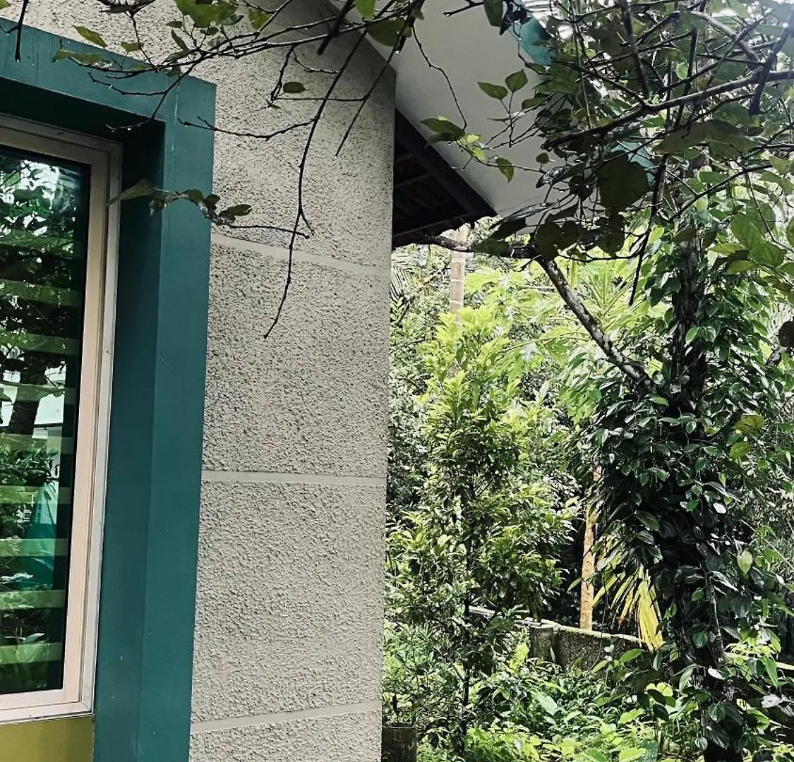 Catsclaw Inn Thalayolaparambu